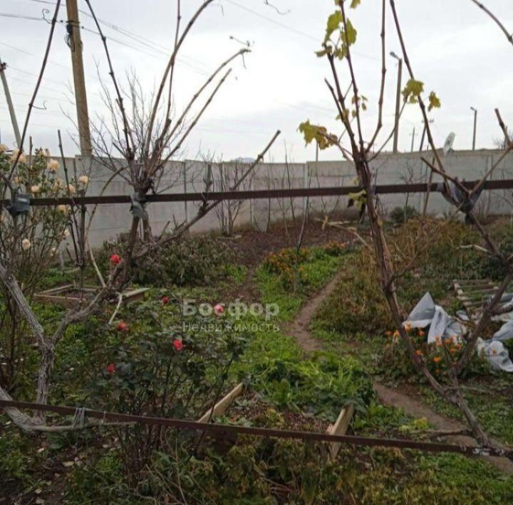 дом р-н Хасанский пгт Приморский Феодосия городской округ, пер. Леонова, 1, Крым фото 12