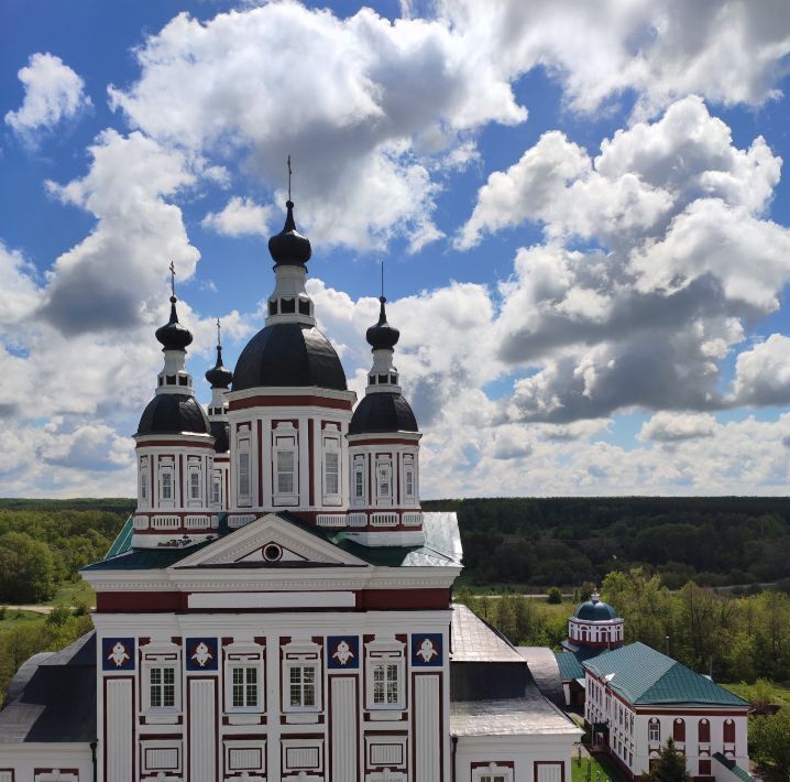 дом р-н Наровчатский с Наровчат ул Красноармейская фото 4