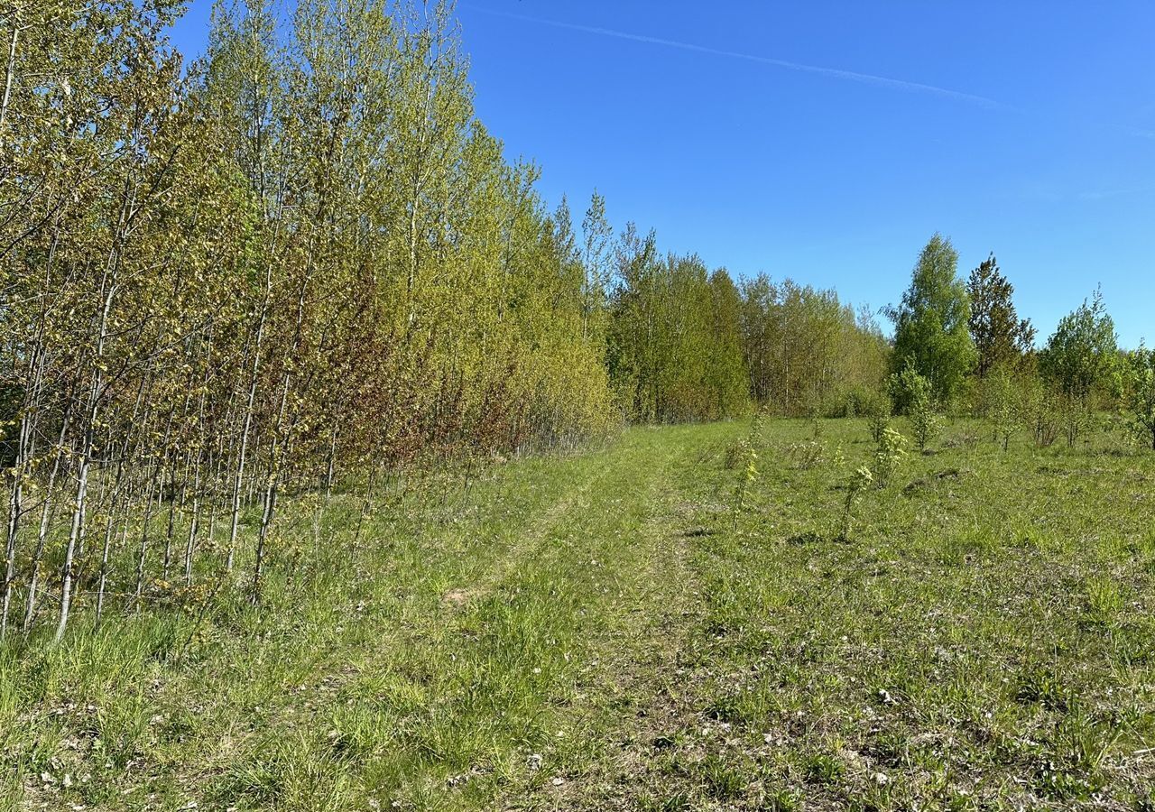 земля р-н Новгородский д Троица Ракомское сельское поселение, Великий Новгород фото 3