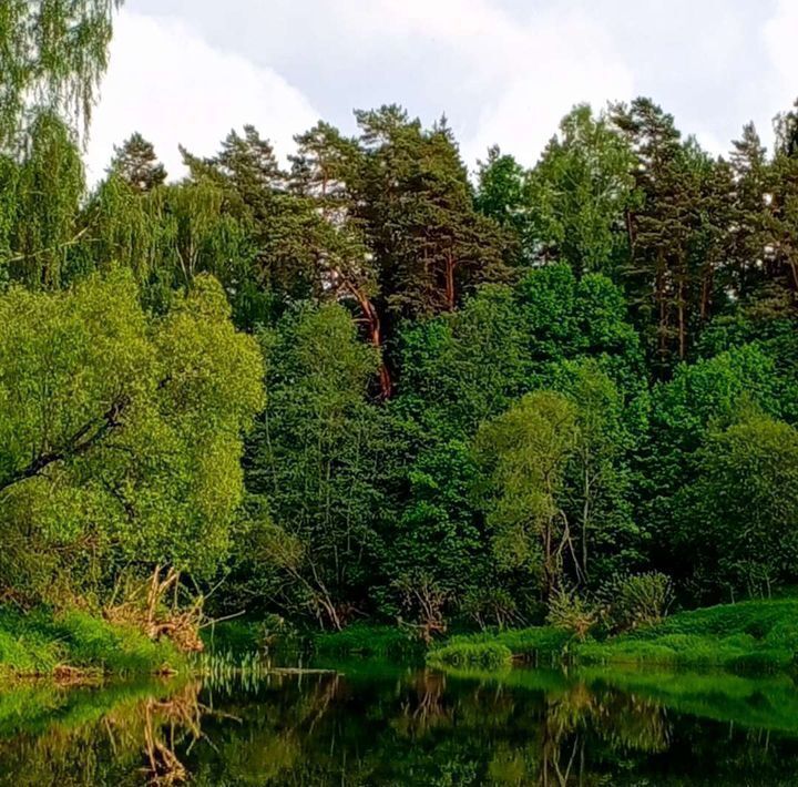 земля городской округ Лотошино с Микулино фото 1