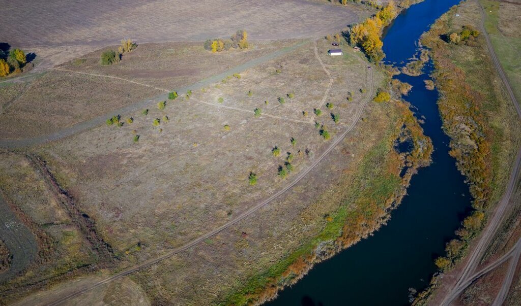 земля р-н Оренбургский с Каменноозерное фото 16