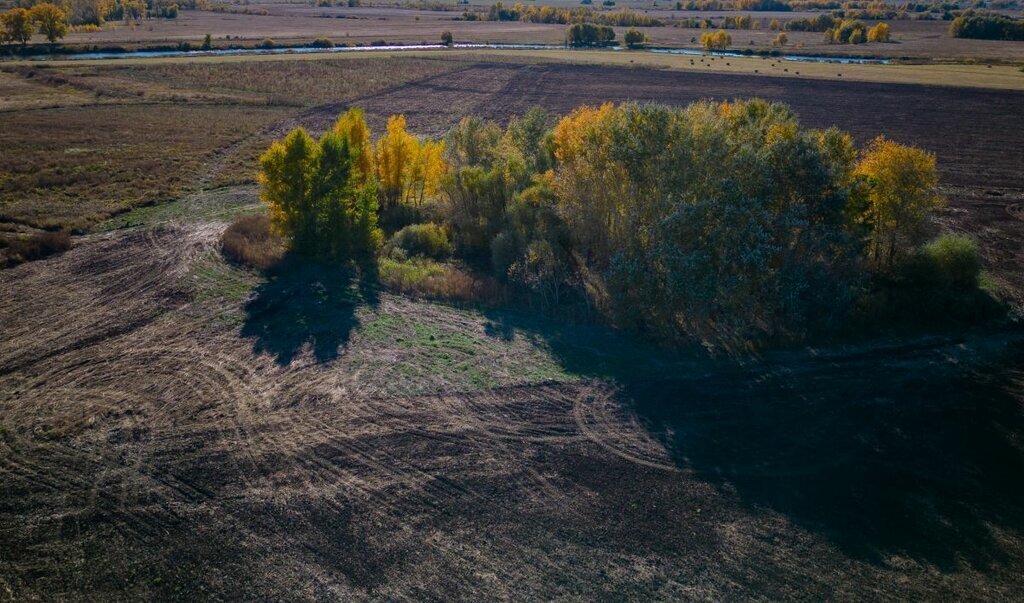 земля р-н Оренбургский с Каменноозерное фото 23