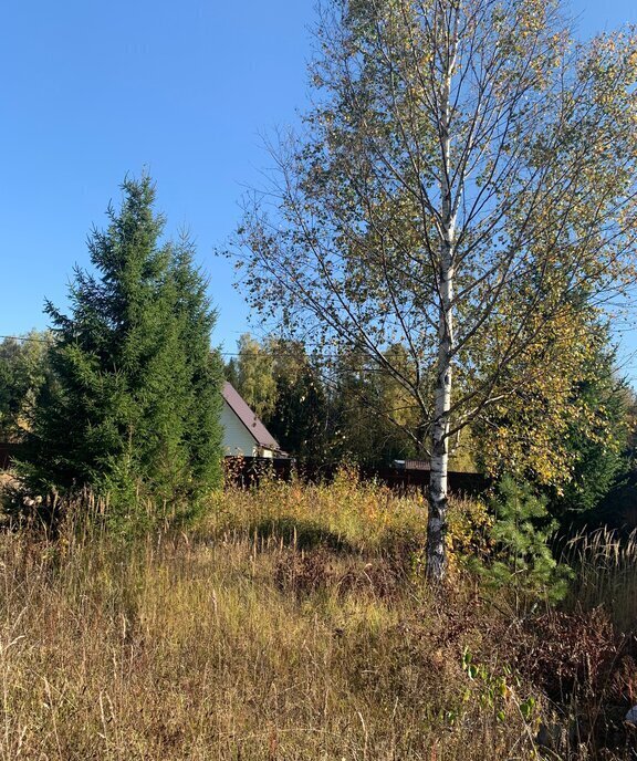 земля городской округ Щёлково д Малые Жеребцы мкр Лесная Поляна 1 фото 2