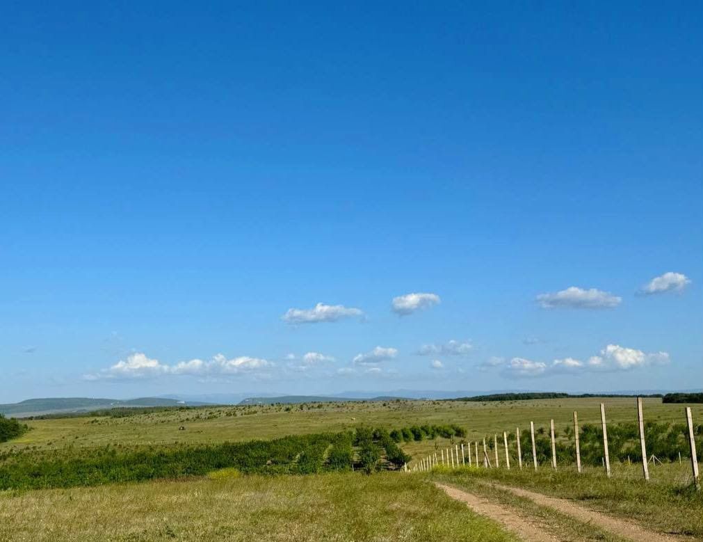 земля р-н Бахчисарайский г Бахчисарай квартал Новый Город фото 3