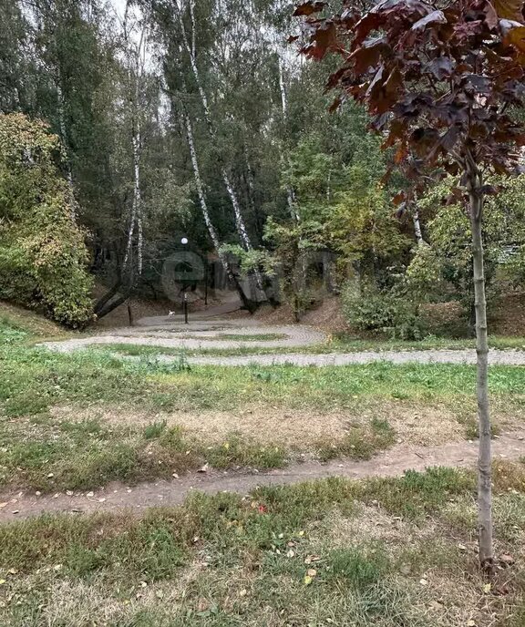 квартира городской округ Ленинский д Сапроново ул Калиновая 1 Покровское фото 15