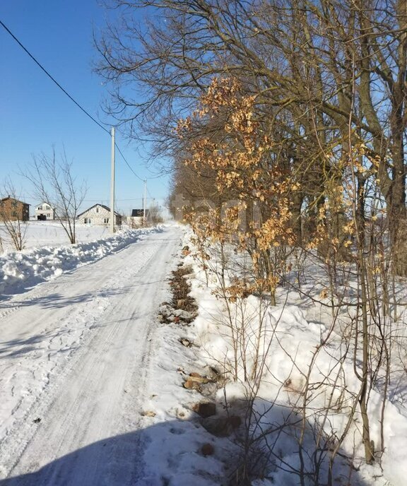 дом р-н Бессоновский с Бессоновка фото 7