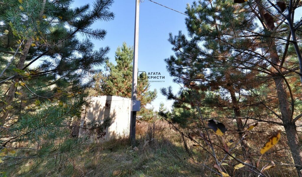 земля городской округ Орехово-Зуевский садовое некоммерческое товарищество Победа фото 5