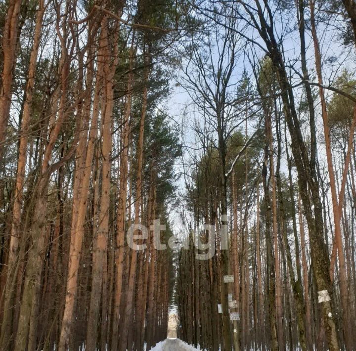 земля г Подольск Ордынцы СНТ, 152, Бунинская аллея фото 4