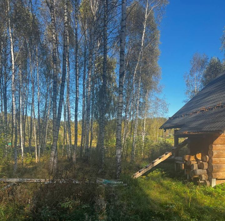 земля городской округ Шаховская д Щемелинки фото 3