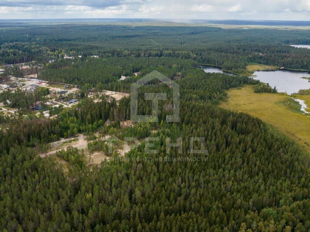 земля р-н Выборгский городской поселок Рощино, Мельничный проезд фото 5