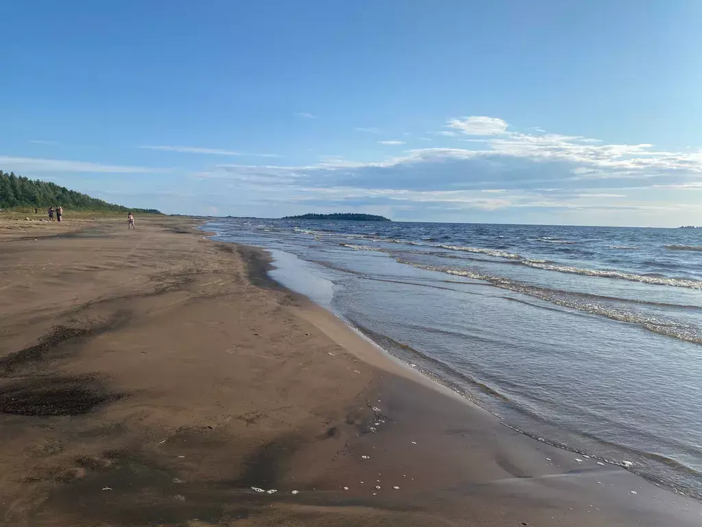 дом р-н Олонецкий п Ильинский ул Старозаводская 8в Олонец фото 18