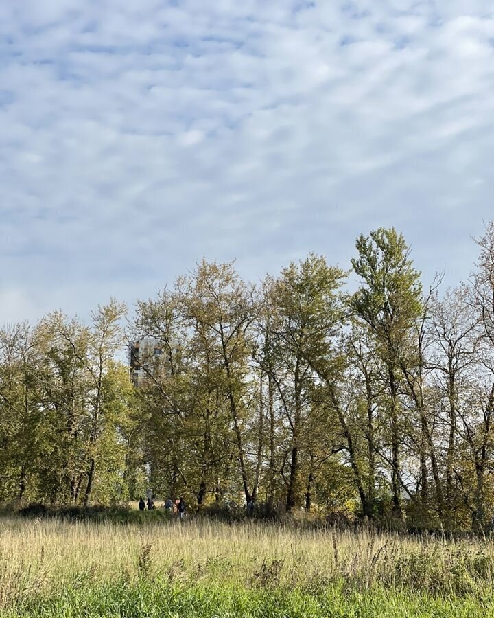 земля р-н Всеволожский д Новосаратовка Московское шоссе, 3 км, Свердловское городское поселение, 248/4, Санкт-Петербург фото 18