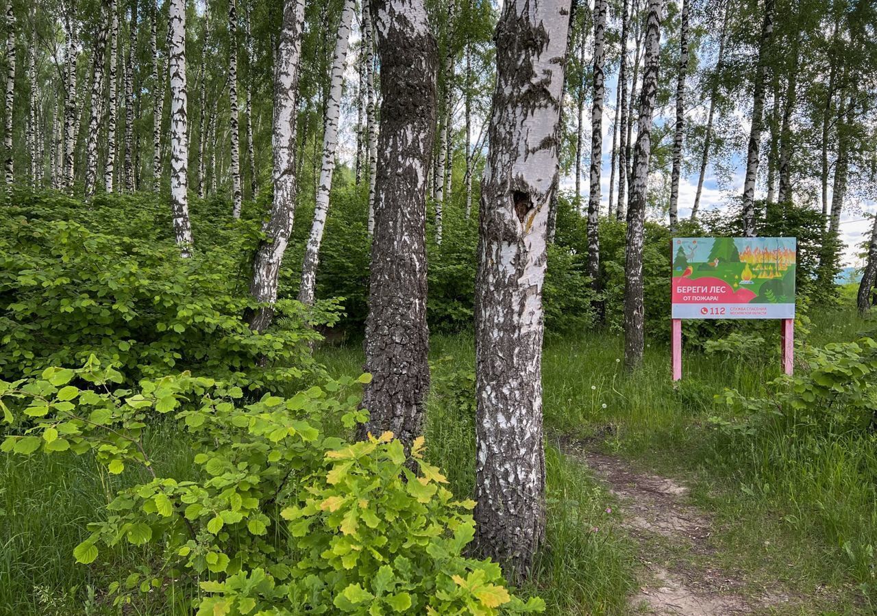 земля городской округ Серпухов д Скрылья 9797 км, Серпухов, Симферопольское шоссе фото 10