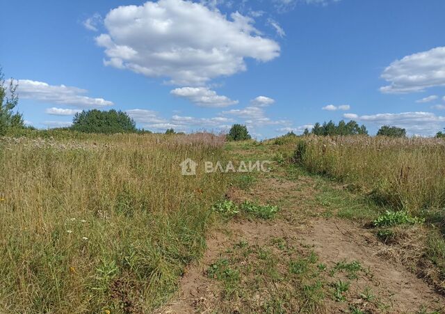 д Парфентьево муниципальное образование Колокшанское, Владимир фото