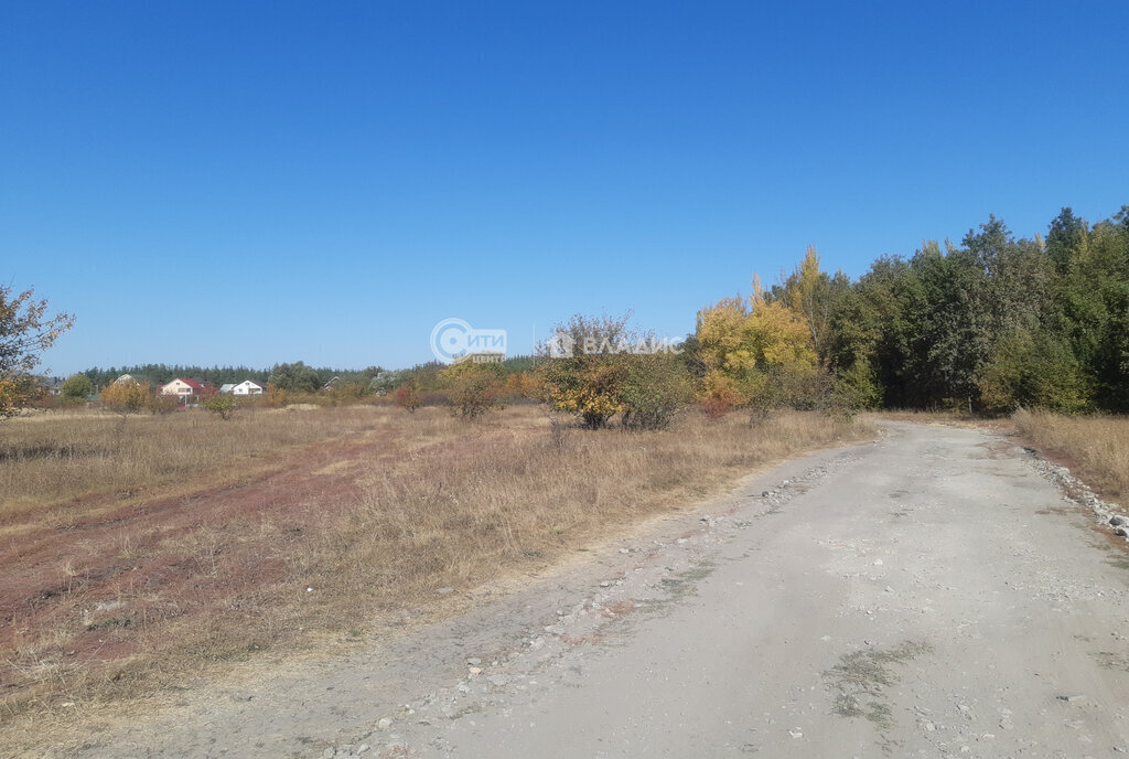 земля р-н Новоусманский с Новая Усмань Октябрьская улица, 19/2 фото 14