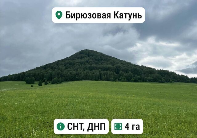 земля Р-256 Чуйский тракт, 479-й километр, Горно-Алтайск фото