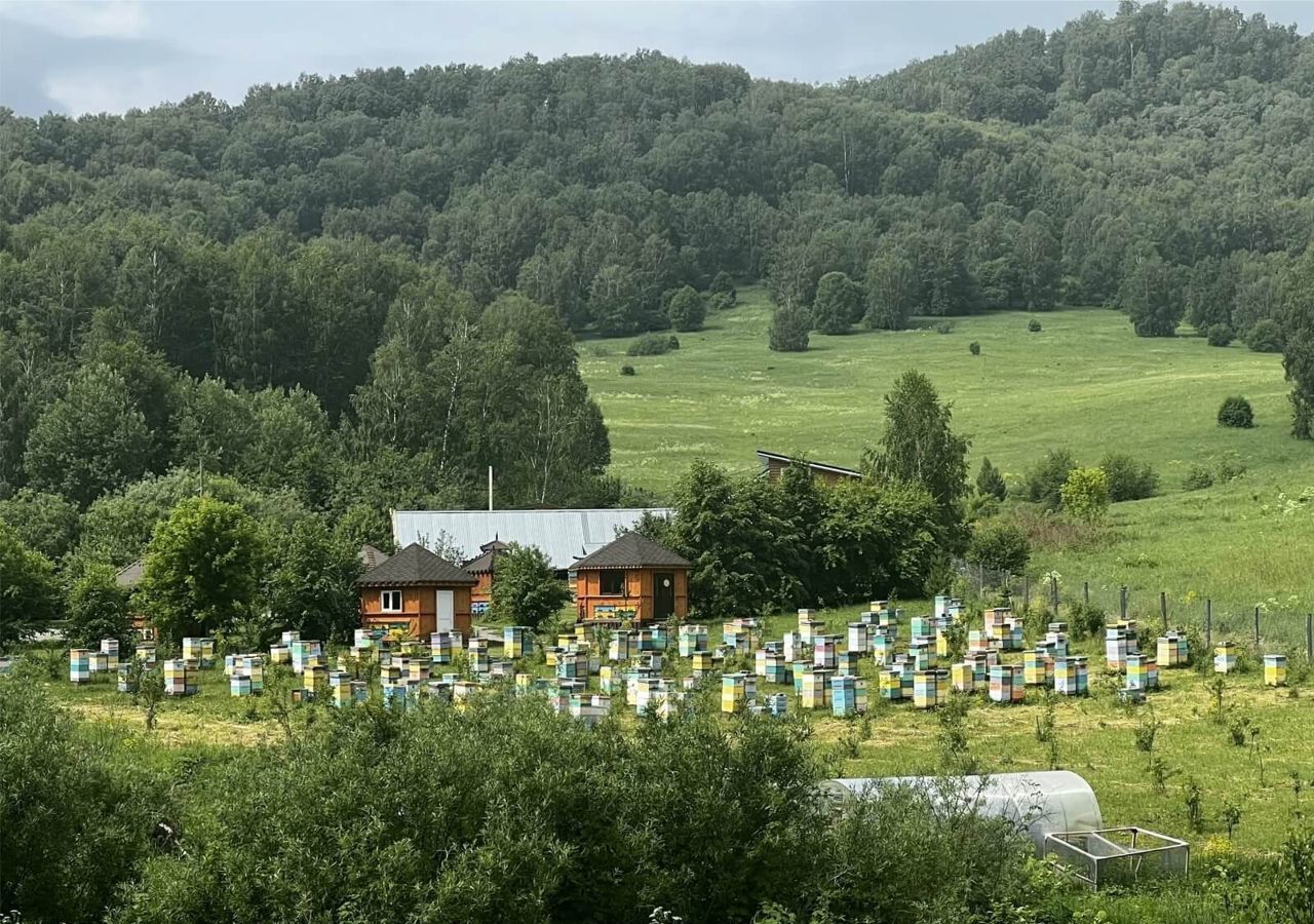 земля р-н Майминский Р-256 Чуйский тракт, 479-й километр, Горно-Алтайск фото 6