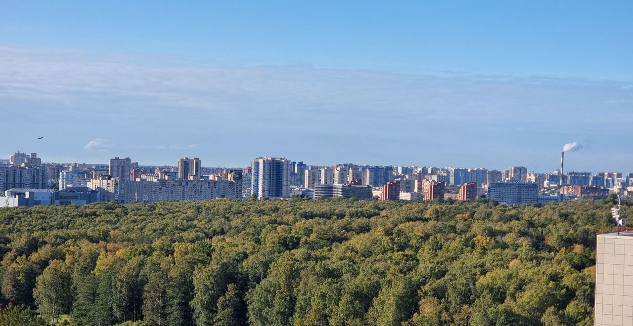 квартира г Санкт-Петербург метро Пионерская пер Железнодорожный 12 фото 11