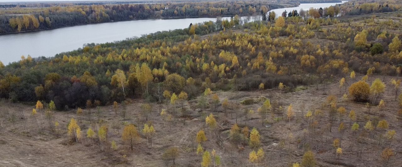 земля р-н Зубцовский д Фомино-Городище фото 37