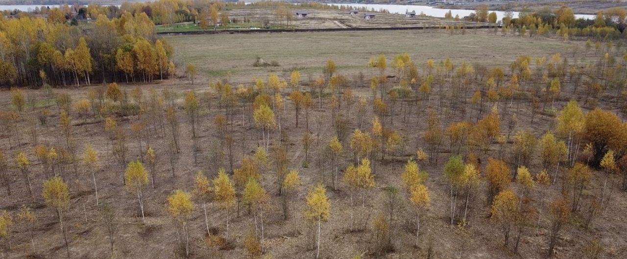 земля р-н Зубцовский д Фомино-Городище фото 39