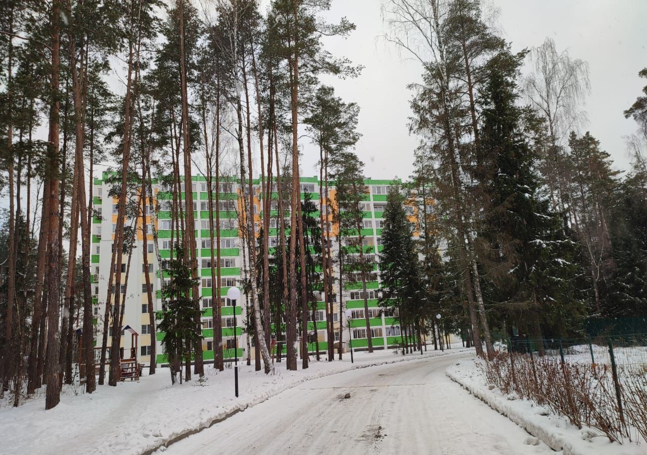 квартира городской округ Богородский г Ногинск квартал Яхонтовый Лес Лес, к 4 фото 3