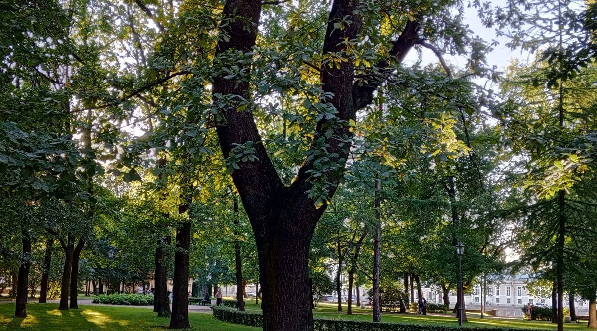 комната г Санкт-Петербург пр-кт Московский 20 Технологический институт фото 26