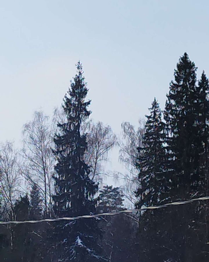 дом городской округ Дмитровский п Подосинки ул Широкая 32 км, Деденево, Дмитровское шоссе фото 31