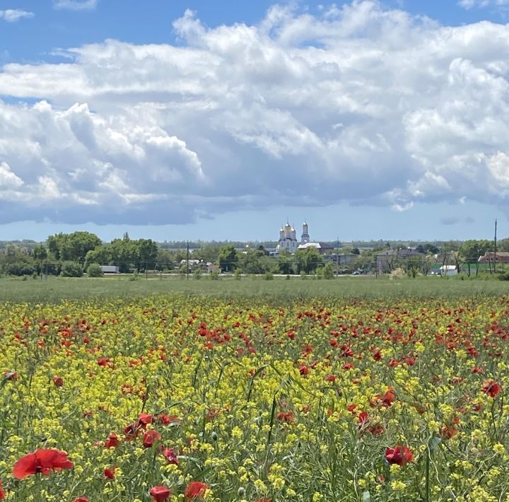 земля р-н Темрюкский п Красноармейский ул Гагарина Запорожское с/пос фото 2