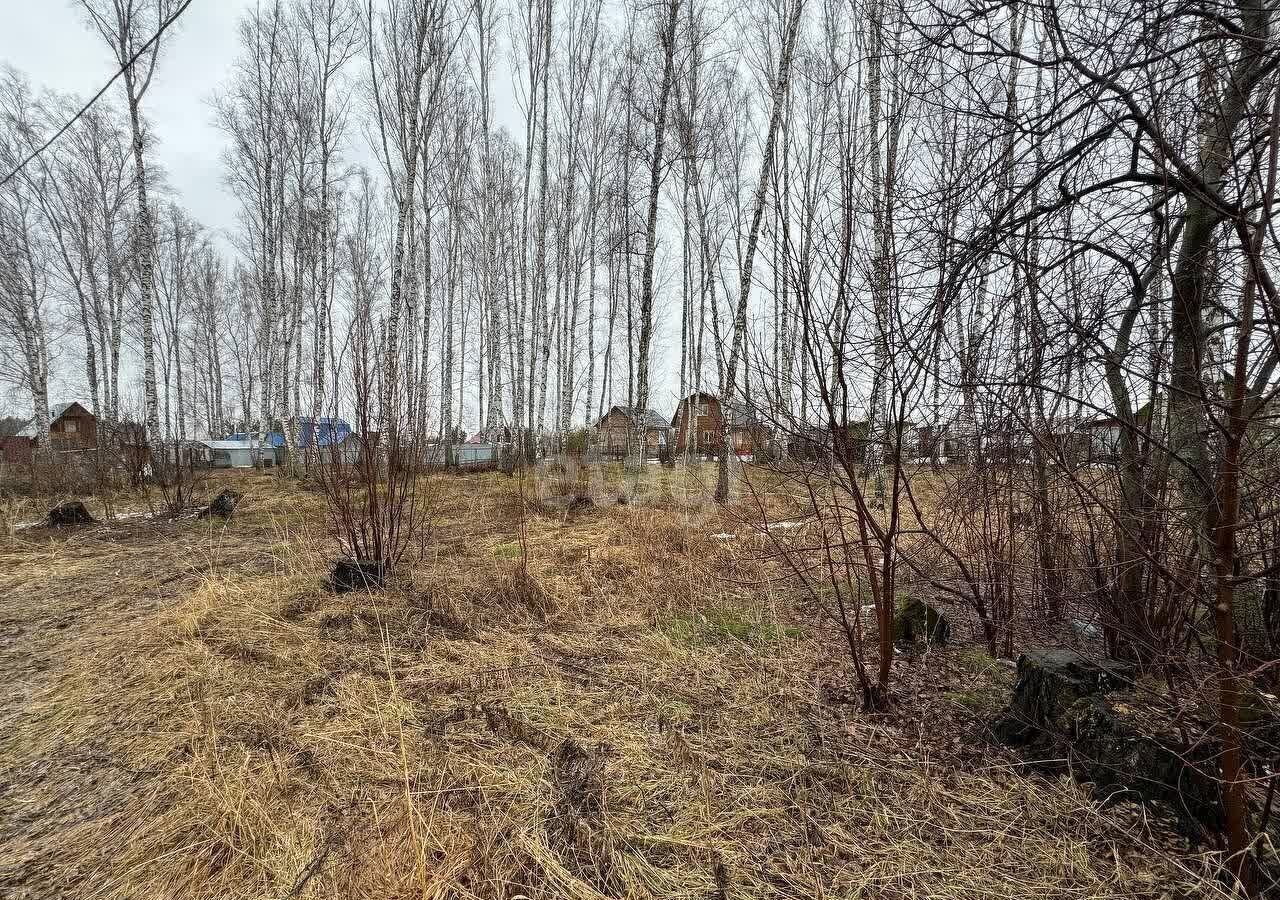 земля р-н Новосибирский снт тер.Метро Берёзовский сельсовет, Кольцово, Центральная ул фото 6