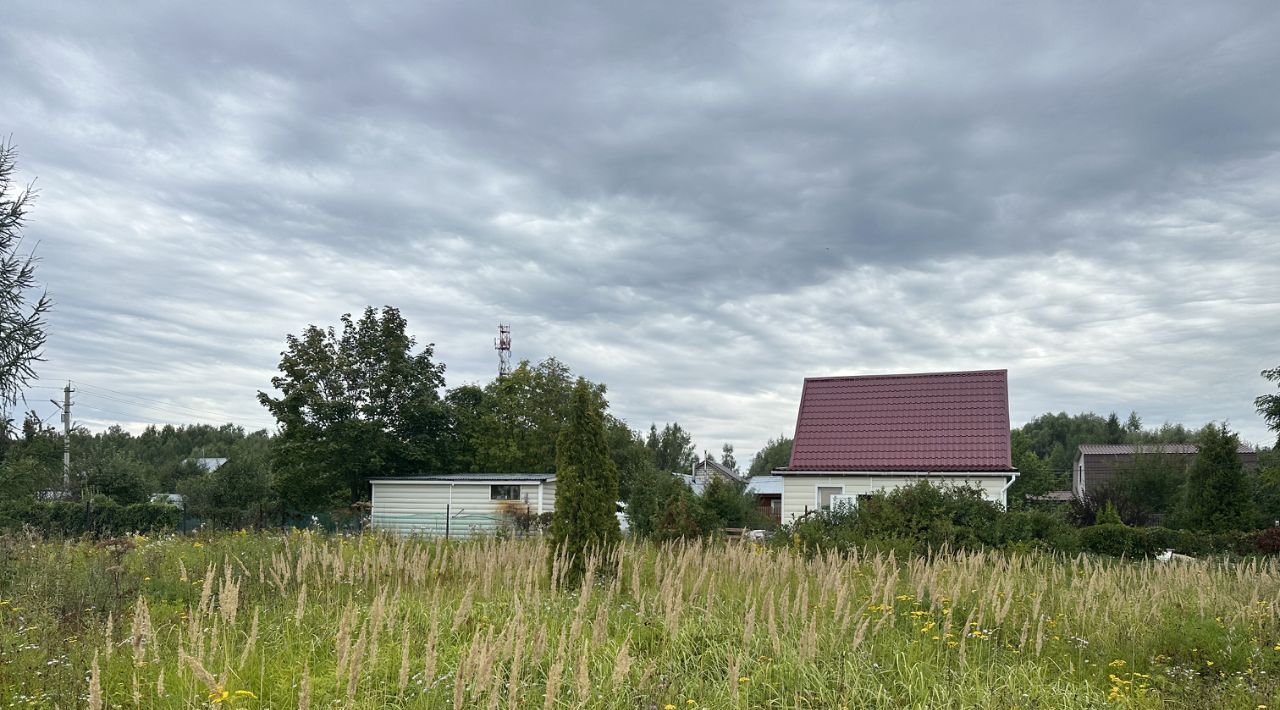 земля 156, Раменский городской округ, Содружество СНТ фото 3