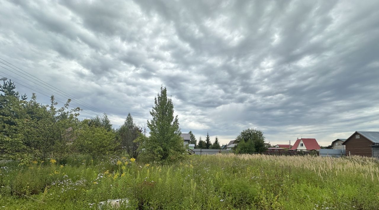 земля 156, Раменский городской округ, Содружество СНТ фото 1