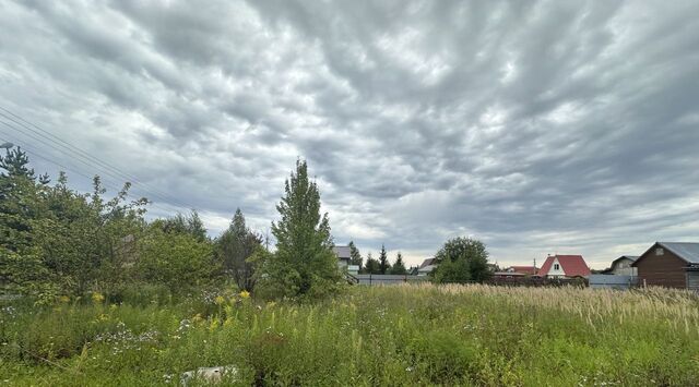 156, Раменский городской округ, Содружество СНТ фото