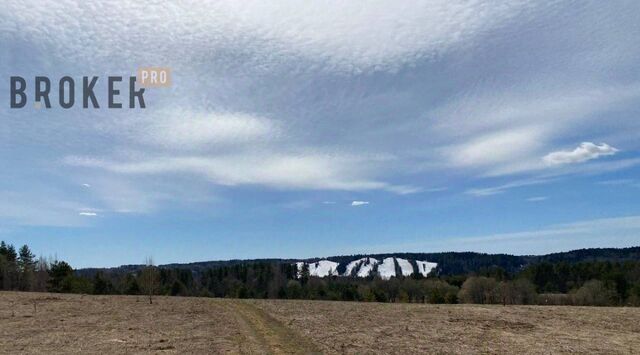 д Светлое ул Звездная с пос, Парнас, Красноозерное фото