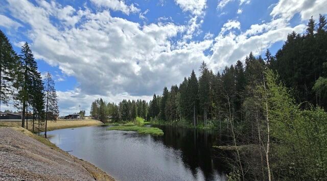 Бугровское городское поселение, Охтинское раздолье кп, Парнас, 65 фото