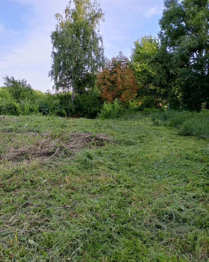 дом р-н Лискинский с Петровское ул Садовая Петровское сельское поселение, Лиски фото 12