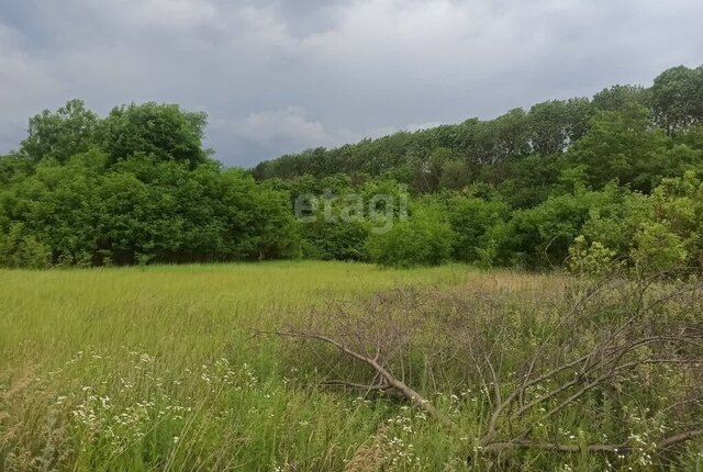 г Белгород Сухой Лог фото