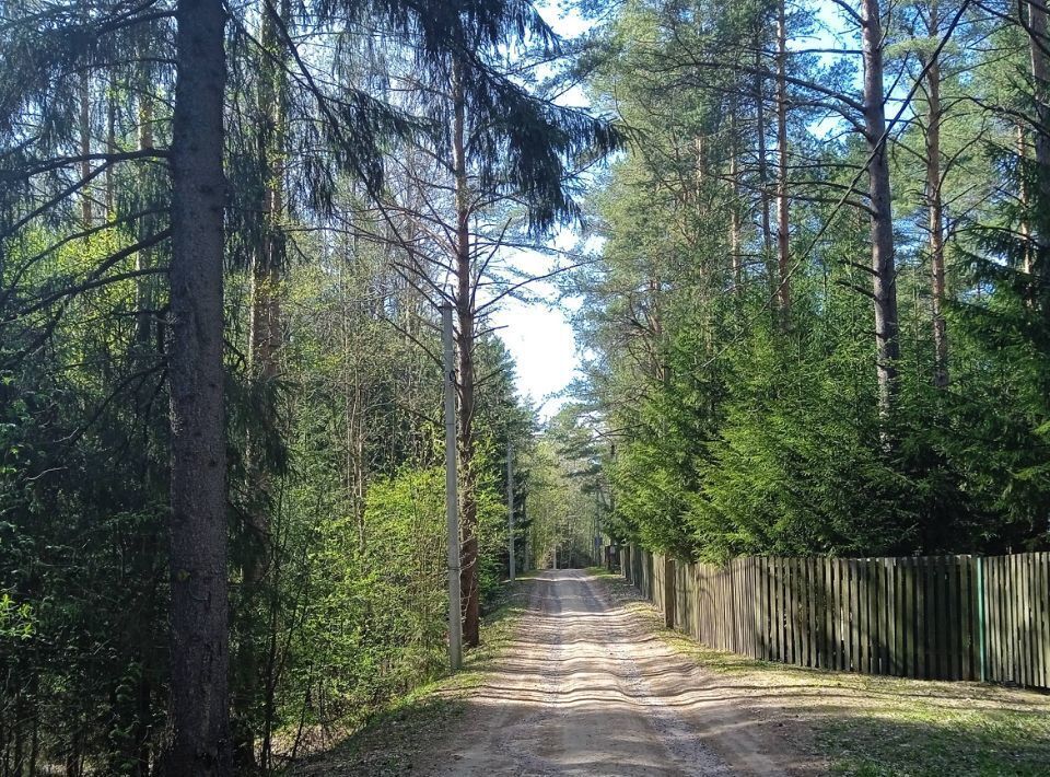 земля р-н Всеволожский д Мендсары Бугровское городское поселение, Девяткино, ул. Речная фото 3