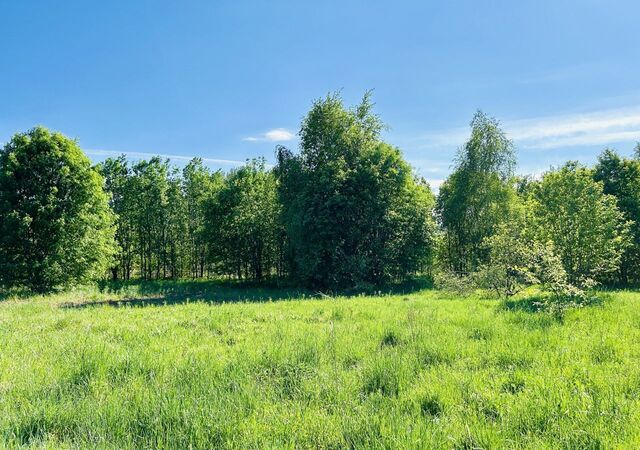 земля п Волочаевка Выборгское шоссе, 9774 км, Рощинское городское поселение, Коробицыно фото