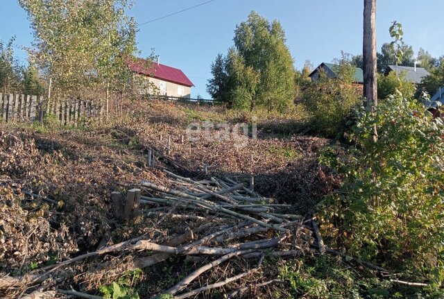 земля снт Вишенка фото