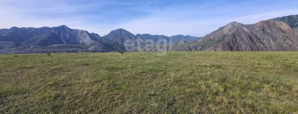 земля р-н Онгудайский с Онгудай фото 4