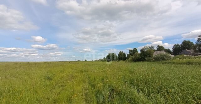 земля д Бурмачевская Новодвинск фото