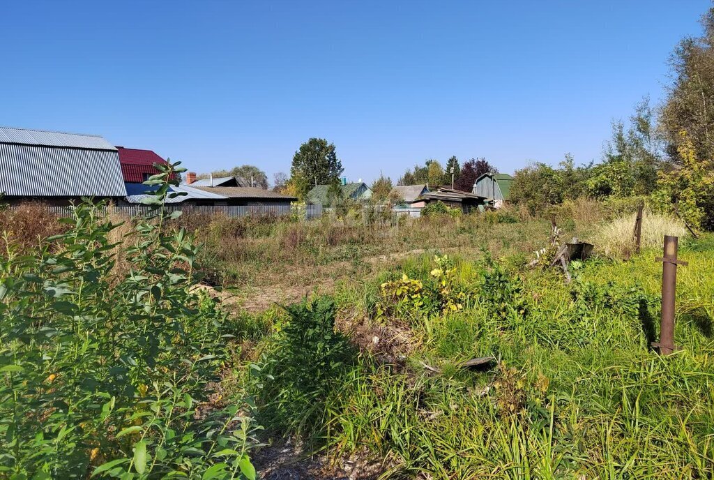 земля городской округ Орехово-Зуевский г Ликино-Дулёво ул Ионовская 2-я фото 10