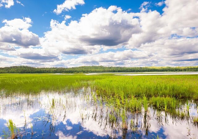 22 км, Всеволожский р-н, Токсовское городское поселение, коттеджный пос. Экофорест, Лесколово, Ленинградское шоссе фото