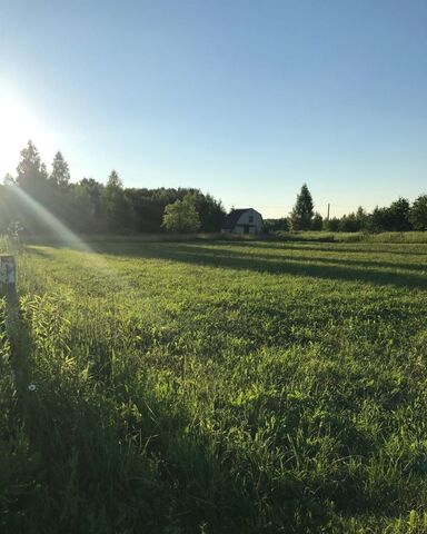 п Золотой Веретенинский сельсовет, Железногорск фото