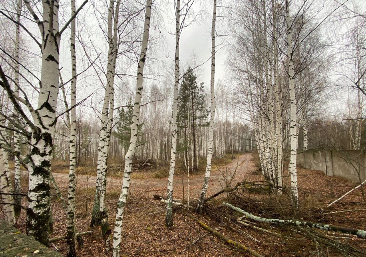 земля р-н Зеленодольский г Зеленодольск Айшинское сельское поселение фото 4