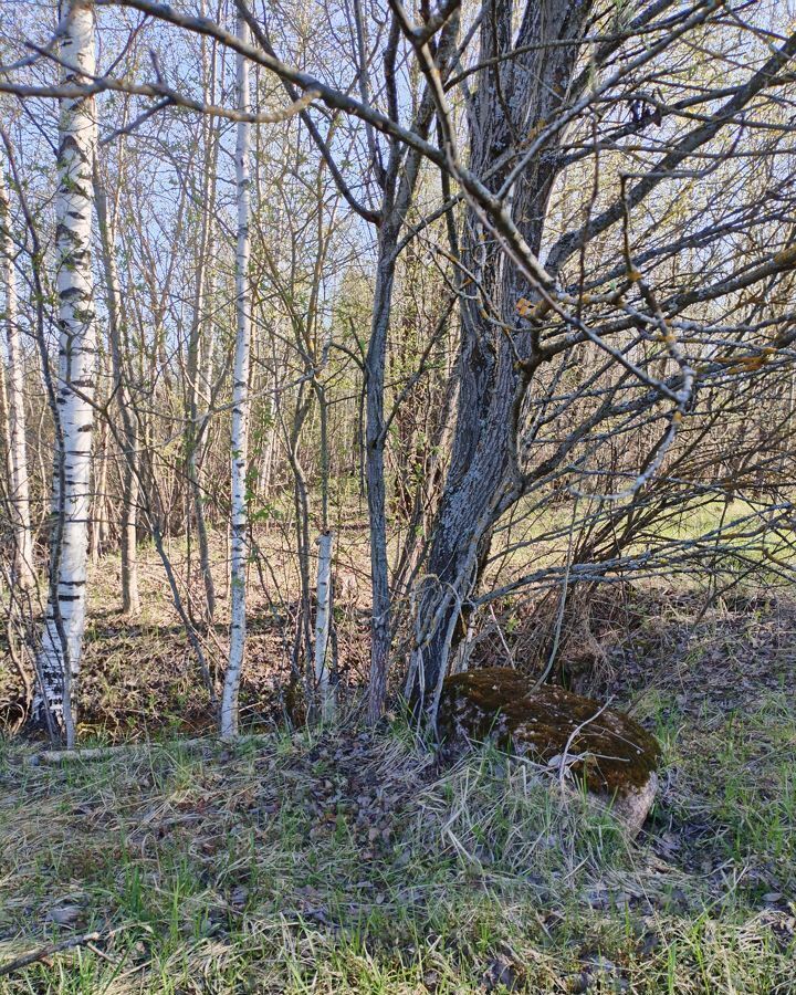 земля р-н Новгородский д Русса Савинское сельское поселение, Великий Новгород фото 18