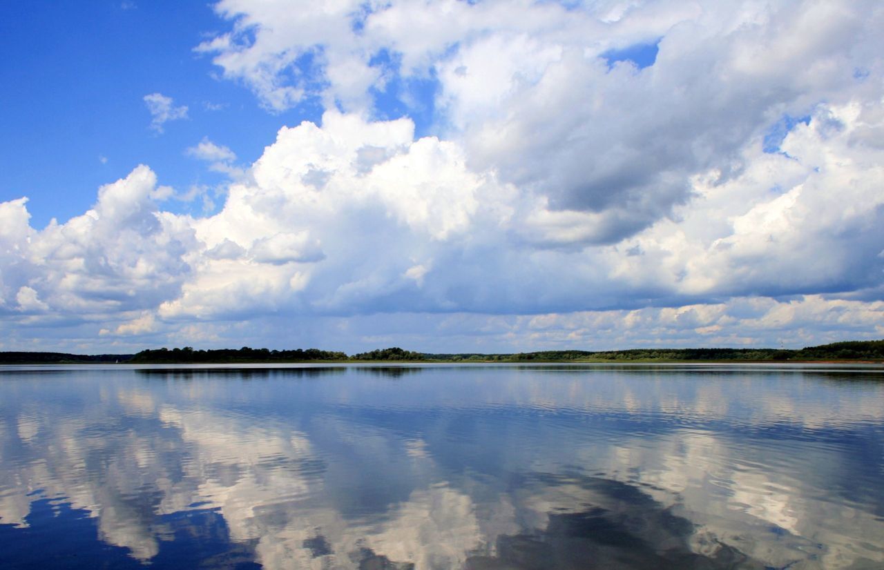 земля городской округ Можайский д Криушино 95 км, Можайск, Минское шоссе фото 13