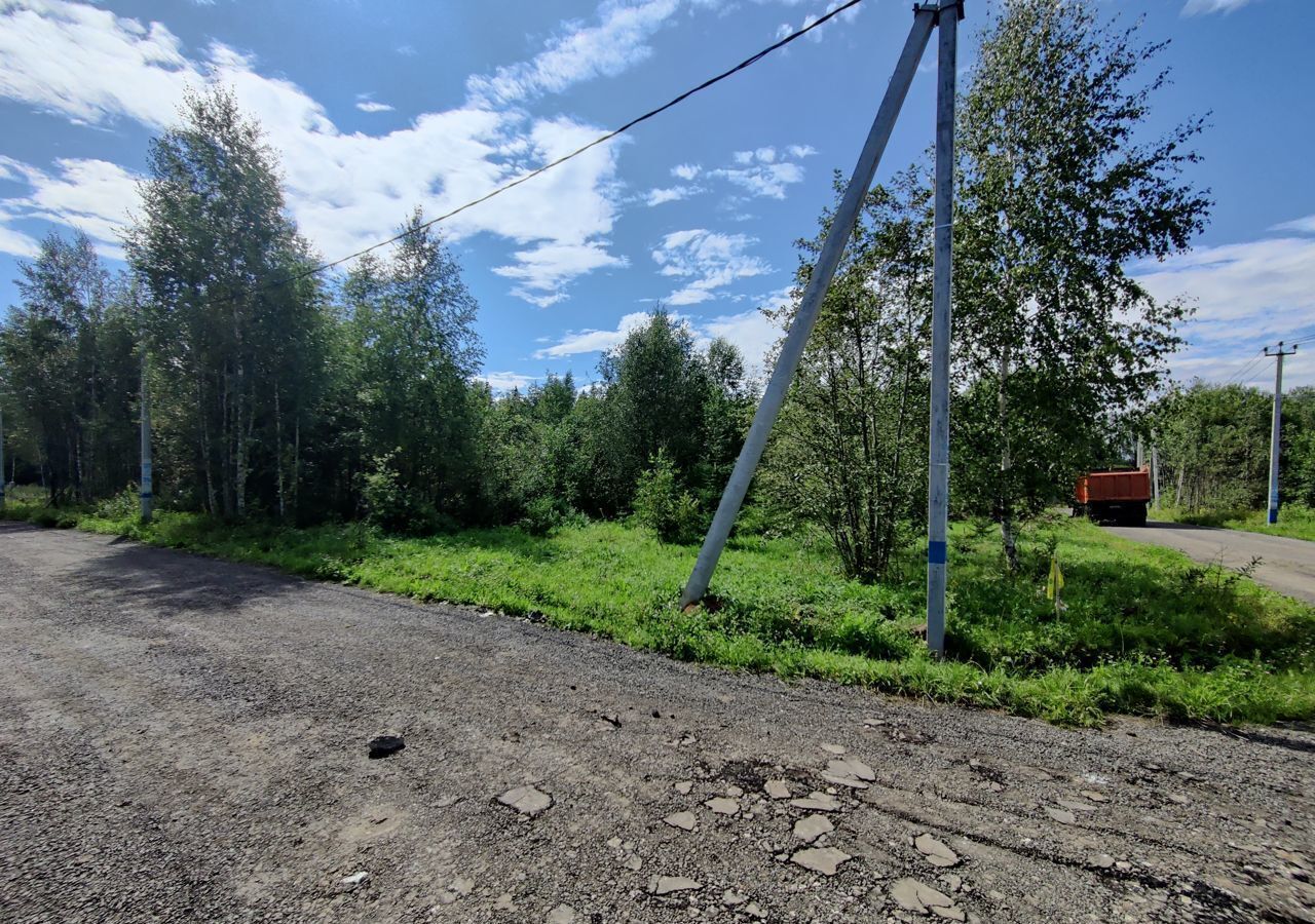 земля городской округ Дмитровский д Никулино 9761 км, Деденево, Дмитровское шоссе фото 3