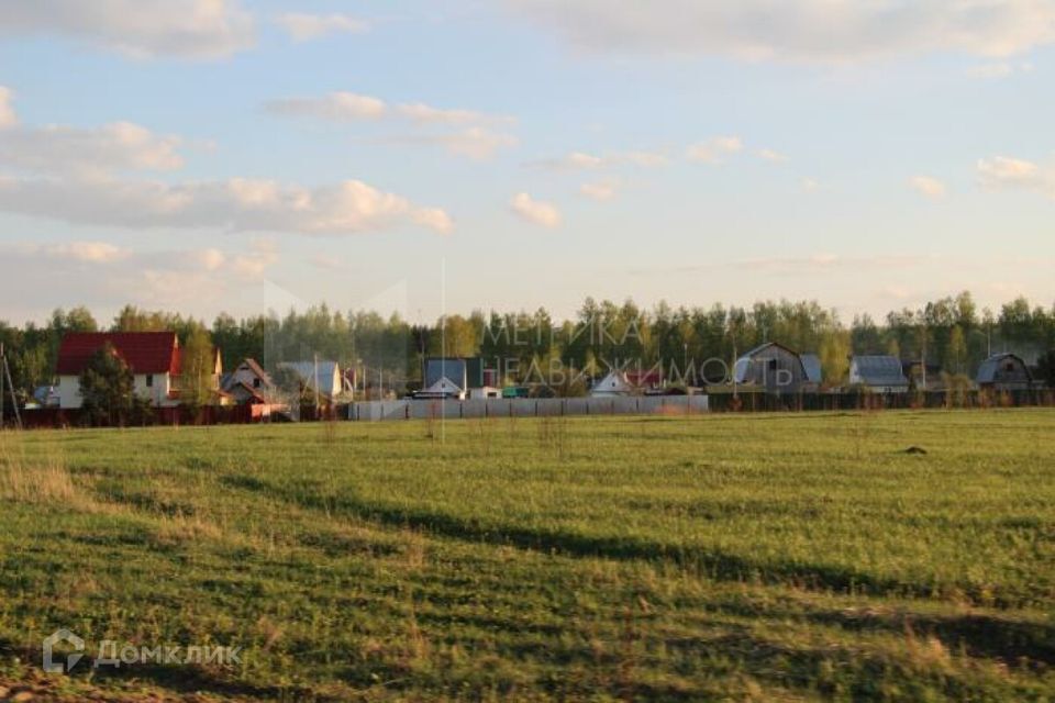 земля р-н Нижнетавдинский садоводческое некоммерческое товарищество Царицыно фото 1