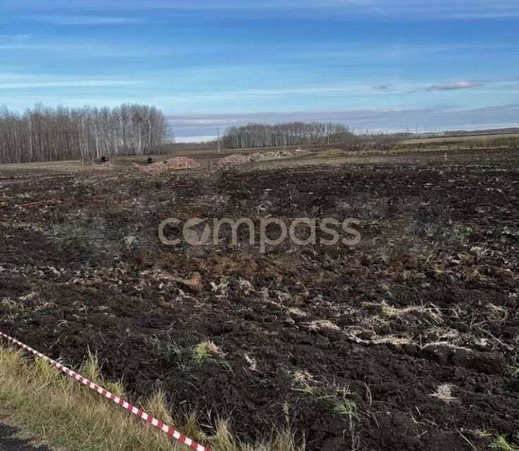 земля р-н Тюменский с Горьковка ул Сибирская фото 10